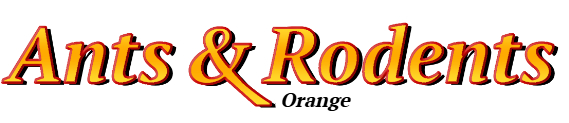 Orange Ant Exterminator & Rodent Control Company Logo
